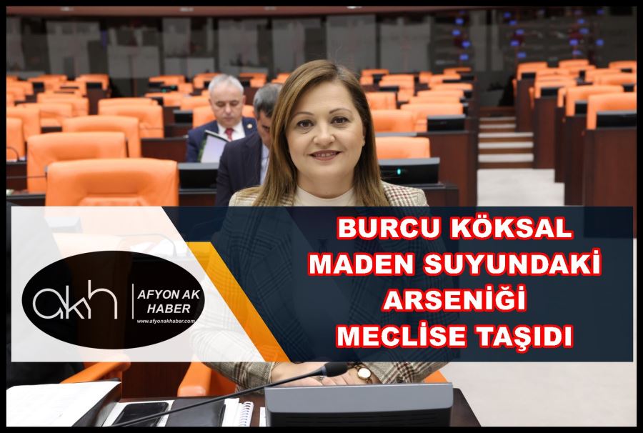 Burcu Köksal maden suyundaki arseniği meclise taşıdı