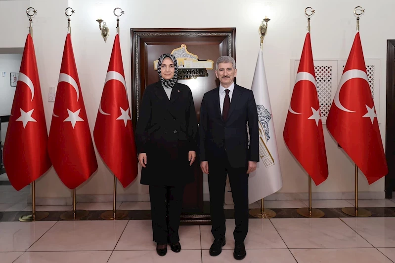 Anayasa Mahkemesi Üyesi Muhterem İnce, Afyonkarahisar Valisi