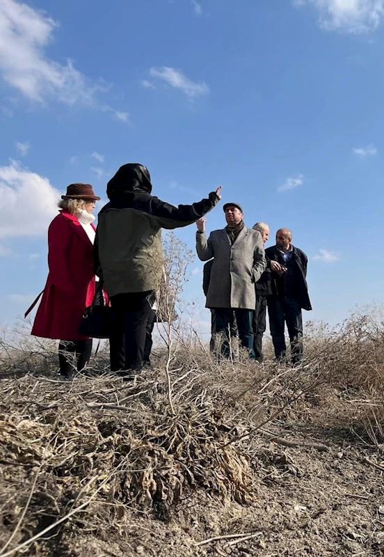 Eber Gölü İçin Çevreci Proje: Ekolojik Denge Yeniden Kuruluyor