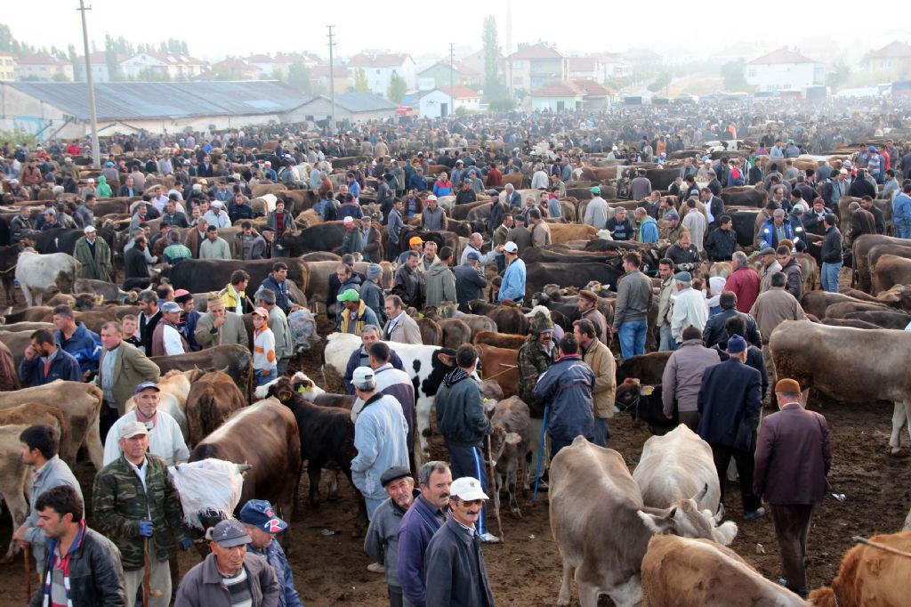 Afyon Belediyesi Kurban Bayramı’na hazır